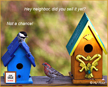 Tuff times for Real Estate