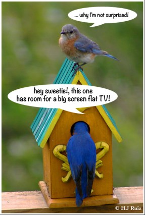 - WHEN COUPLES LOOK FOR THE PERFECT HOUSE -