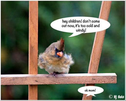 - "WINTER DAYS ARE HERE!" -