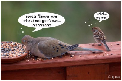 - THE NEW YEAR'S RESOLUTION THAT NEVER WORKS! -