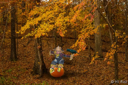 Happy Halloween from Avian101! - My model is Tyler!