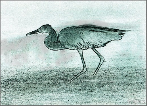 Sketch made with black ink and compressed graphite on white paper.