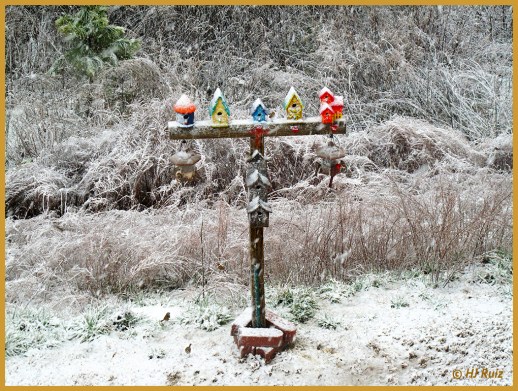 --- This was my first snow in Georgia! --- Click on image to enlarge ---