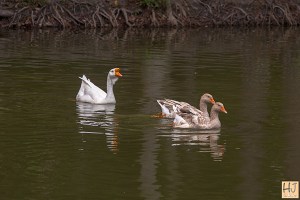 Ansar: Hi girls! How are you?