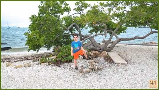 I got it all figured out!