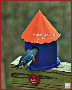 FOR ALL MY WONDERFUL FEMALE FOLLOWERS! YOU ARE SPECIAL!