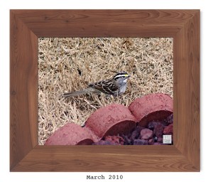  -- Mar. 2010