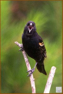 RWB: - YOUR FLY IS OPEN! HJ: - Oh Sh-t!  (Face palm)