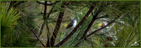 Click image to enlarge