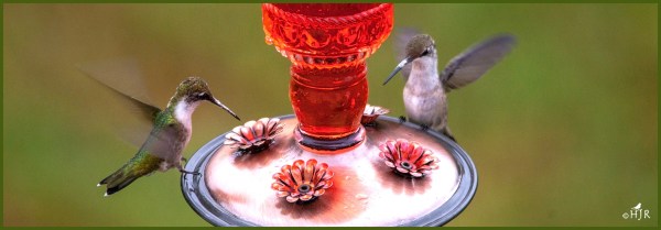 Click image for enlargement