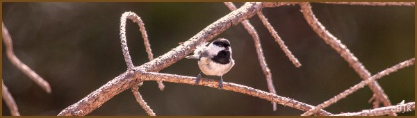 Click image for enlargement