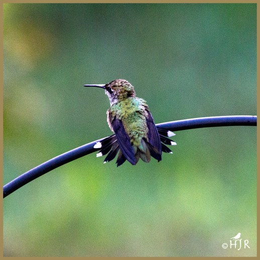 Please, please No MORE rain!!