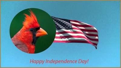 Happy 4th of July-2020