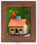 2ML-007 – Northern Cardinal&nbsp;(M)