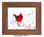2ML-023 – Northern Cardinal&nbsp;(M)